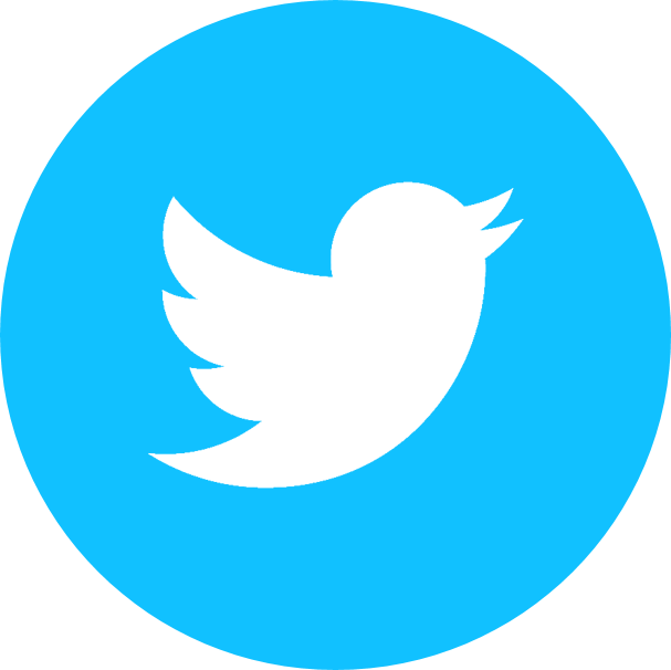 twitter_bird_logo_2012-svg